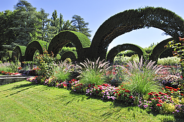 Yew topiary,Pres-Fichaux garden,Bourges,Cher department,Berry province,region of Centre,France,Europe