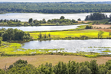Brenne Regional Natural Park seen from a tower of the Chateau du Bouchet, Indre department, Historic province of Berry, Centre-Val de Loire region, France