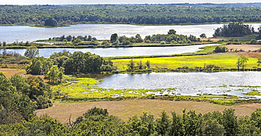 Brenne Regional Natural Park seen from a tower of the Chateau du Bouchet, Indre department, Historic province of Berry, Centre-Val de Loire region, France