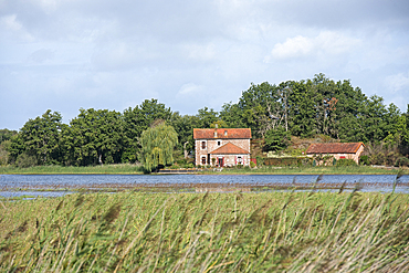 House on the edge of a pond, Brenne Regional Natural Park, Indre department, Historic province of Berry, Centre-Val de Loire region, France