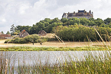 Etang de la Mer Rouge (Red Sea's pond) avec le Chateau du Bouchet in the background, Brenne Regional Natural Park, Indre department, Historic province of Berry, Centre-Val de Loire region, France