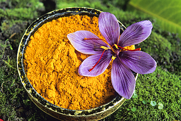 Saffron powder,Loiret department,region of Centre,France,Europe