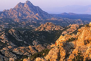 Desert des Agriates, Upper Corsica, Northern Corsica,France,Europe