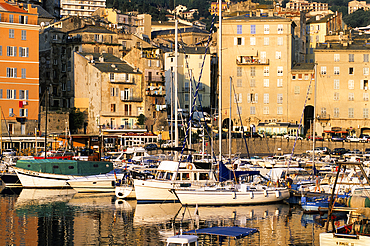 Old harbour of Bastia, Upper Corsica, Northern Corsica,France,Europe