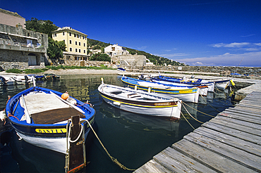 Fishing boats in the harbour of Erbalunga, commune of Brando, Cap Corse, Haute-Corse,Northern Corsica,France,Europe