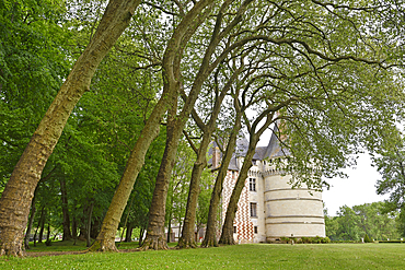 French Renaissance Chateau de l'Islette (16 th century) at Azay-le-Rideau, department of Indre-et-Loire, Centre-Val de Loire region, France, Europe