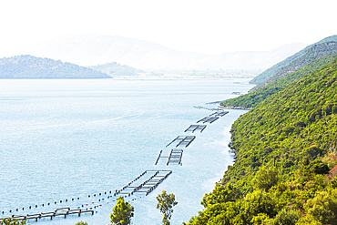 Bouchot mussel farms in Lake Butrint in Ksamil, near Saranda, Ionian Coast, Albania, Europe