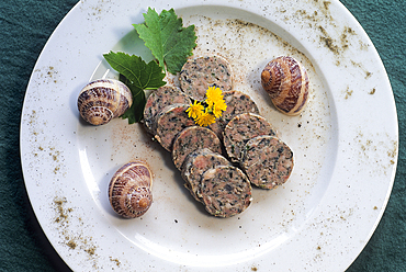 Dish with snails from the Fontaine de Bernn at Bernon,Aube department,Champagne-Ardenne region,France,Europe