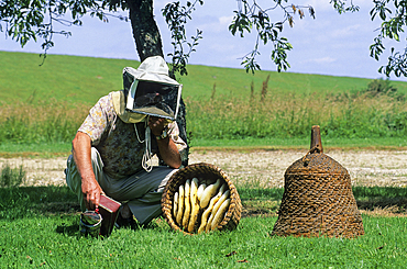 Beekeeper showing a traditional wicker hive, La Grange aux Abeilles at Giffaumont-Champaubert, Marne department, Champagne-Ardenne region,France,Europe