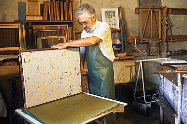 Traditional paper-making,workshop of Mr Gouy,Fontenoy-la-Joute,one of the Book Towns, Meurthe-et-Moselle department,Lorraine region,France,Europe