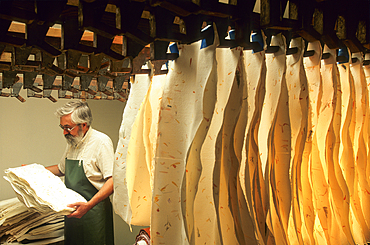 Drying,traditional paper-making,workshop of Mr Gouy,Fontenoy-la-Joute,one of the Book Towns, Meurthe-et-Moselle department,Lorraine region,France,Europe