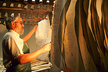 Drying,traditional paper-making,workshop of Mr Gouy,Fontenoy-la-Joute,one of the Book Towns, Meurthe-et-Moselle department,Lorraine region,France,Europe