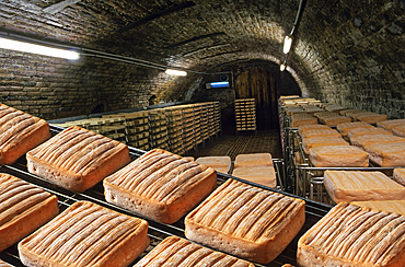 Maroilles cheese in the Thierache region, Aisne department, Picardy region, northern France, Europe
