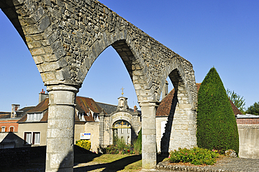 Remains of the Church Saint-Pierre located on a former motte-and-bailey castle from 11th century, Sees, Domfront, department of Orne, Normandie region, France, Europe