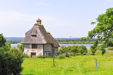 Thatched cottage by the 'La Grand-Mare' pond, Marais Vernier, Boucles de la Seine normande Regional Nature Park, Eure department, Normandy region, France, Europe