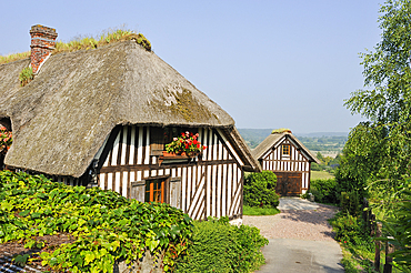 Thatched cottage,Pierrefitte-en-Auge,Pays d'Auge,Calvados department,Lower Normandy region,Northwestern France,Western Europe