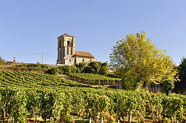Our Lady of Parsac in the vineyards,Montagne,Gironde department,Aquitaine region,south-western France,Europe