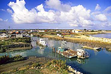 Oleron island,Bay of Biscay, tideway on Oleron Island,Charente-Maritime department,Poitou-Charentes region, France,Europe