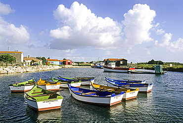 Rowing boats,Oleron island,Bay of Biscay, Charente-Maritime department,Poitou-Charentes region, France,Europe