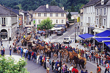 Horse transhumance at Laruns in Ossau Valley,Pyrenees-Atlantiques department, Aquitaine region, France,Europe