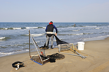 Tellines (shell) fisherman on the Espiguette beach,Grau du Roi,Gard department,France,Europe