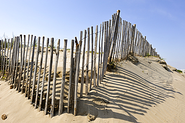 Chesnut wooden fence against silting up ,Grau du Roi,Gard department,France,Europe