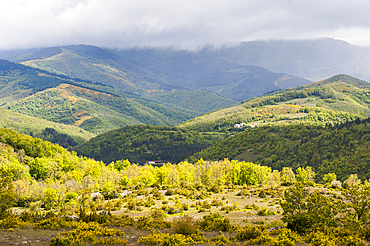 Vis River valley and the Aigoual mountains seen from the Causse de Campestre,Southern Cevennes,Gard department,Languedoc-Roussillon region,France,Europe