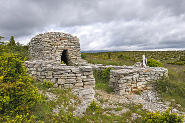 Dry-stone hut locally named Capitelle,Causse de Campestre,Southern Cevennes,Gard department,Languedoc-Roussillon region,France,Europe