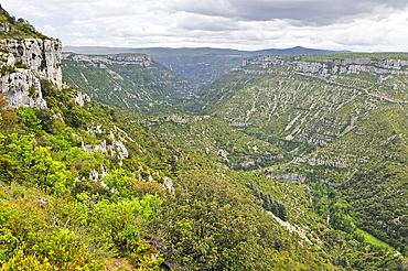 Gorges de la Vis entre le causse du Larzac au sud et le causse de Blandas au nord,departements du Gard et de l'Herault, region Languedoc-Roussillon,France,Europe//Gorges of the Vis River, located towards the southern edge of the Massif Central mountain