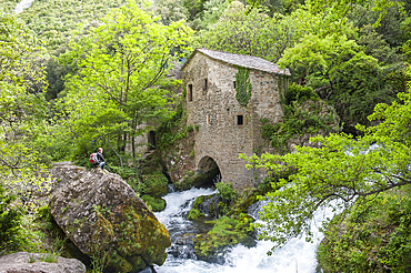 Ancient Water Mill of La Foux,Gorges of the Vis River, located towards the southern edge of the Massif Central mountain range,Gard and Herault departments,Languedoc-Roussillon region,France,Europe