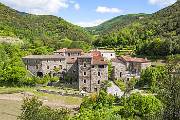 Hamlet of L'Arboux,Mandagout district,village of Cevennes range, Gard department,Languedoc-Roussillon region,France,Europe