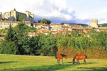 Horses in meadow with the city of Saint-Lizier in the background, province of Couserans,Ariege department, Occitanie region,France,Europe