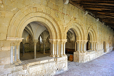 Chapterhouse seen from the cloister of the Cistercian Flaran Abbey, Valence-sur-Baise, Gers department, Occitanie region, southwest of France,Europe