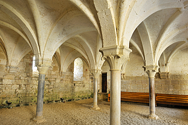 Chapterhouse of the Cistercian Flaran Abbey, Valence-sur-Baise, Gers department, Occitanie region, southwest of France,Europe