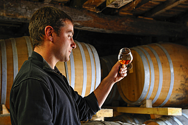 Sylvain Fontan tasting Armagnac in the cellar of Fontan vineyards, Maubet wine growing estate,Noulens,Armagnac province,Gers department, Occitanie region, southwest of France,Europe