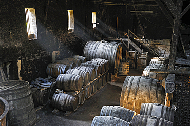 Cellar of 17th,Wine growing estate Chateau de Salles d'Armagnac,Gers department, Occitanie region, southwest of France,Europe