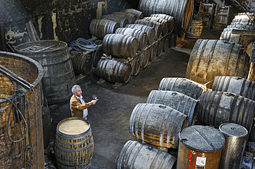 Cellar of 17th,Wine growing estate Chateau de Salles d'Armagnac,Gers department, Occitanie region, southwest of France,Europe
