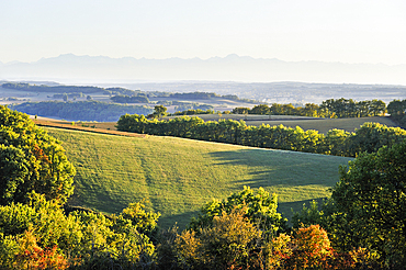 Countryside landscape around Auch.Gers department, Occitanie region, southwest of France,Europe