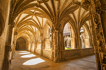 Cloister of the Saint-Etienne Cathedral, Cahors, Lot department, region of Midi-Pyrenees, Occitanie, southwest of France, Europe