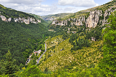 The Jonte Gorges,Lozere departement,Languedoc-Roussillon region,,Occitanie,France,Europe