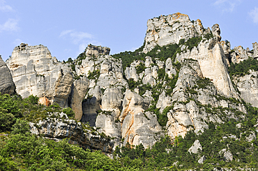 The Jonte Gorges,Lozere departement,Languedoc-Roussillon region,Occitanie,France,Europe