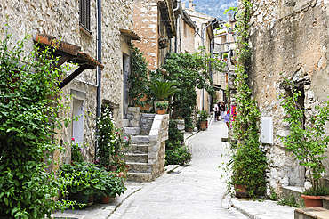 Bystreet in the perched village Tourrettes-sur-Loup.Alpes-Maritimes department,Provence-Alpes-Cote d'Azur region,southeast of France,Europe.