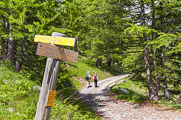 Trekkers in the Fontanalba valley, Mercantour National Park, Alpes-Maritimes department, Provence-Alpes-Cote d'Azur region, southeast of France, Europe.