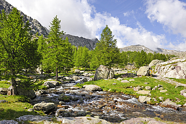 Mountain stream in the Vallee des Merveilles, Mercantour National Park, Alpes-Maritimes department, Provence-Alpes-Cote d'Azur region,southeast of France,Europe.
