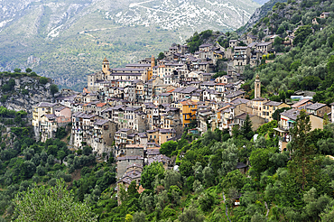Saorge, Mercantour National Park, Alpes-Maritimes department, Provence-Alpes-Cote d'Azur region,southeast of France,Europe.