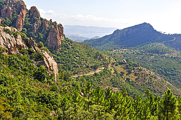 Esterel Massif,Var department,Provence-Alpes-Cote d'Azur region,France,Europe