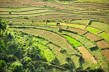 Paddy-fields around Tam Son village viewed from Quan Ba Pass on the road to Yen Minh,Ha Giang province, Northern Vietnam, Southeast Asia