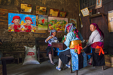 H'mong woman in a restaurant at Dong Van, Ha Giang province, Northern Vietnam, Southeast Asia