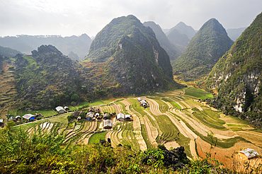Sa Phyn valley, Dong Van Karst Plateau Geopark, near Dong Van, Ha Giang province, Northern Vietnam, Southeast Asia