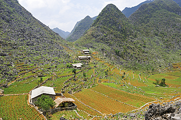 Mountain hamlet near Sa Phin, Dong Van plateau, Ha Giang province, Northern Vietnam, Southeast Asia